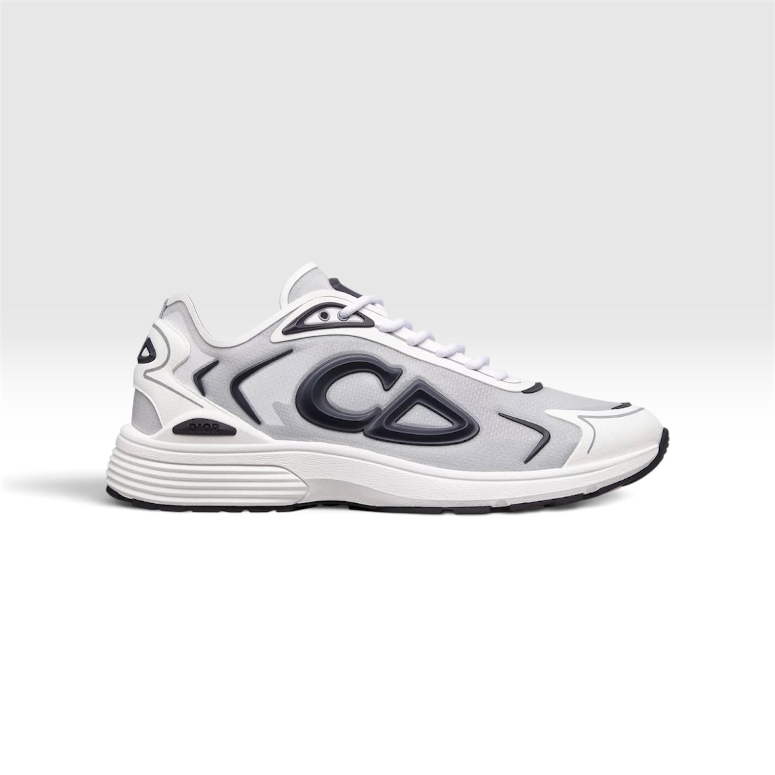 Dior B30 2026 Gris et Blanc